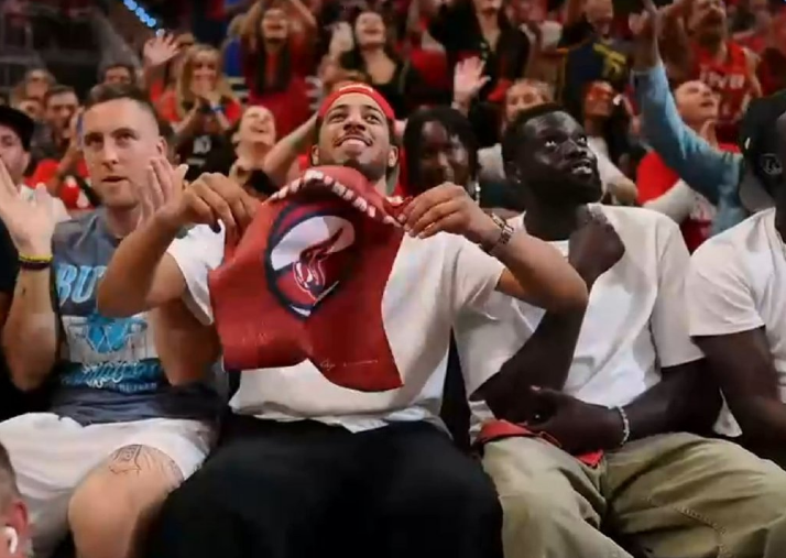 盖帽和丽莎, 盖帽, net 盖帽和丽莎, 盖帽, net